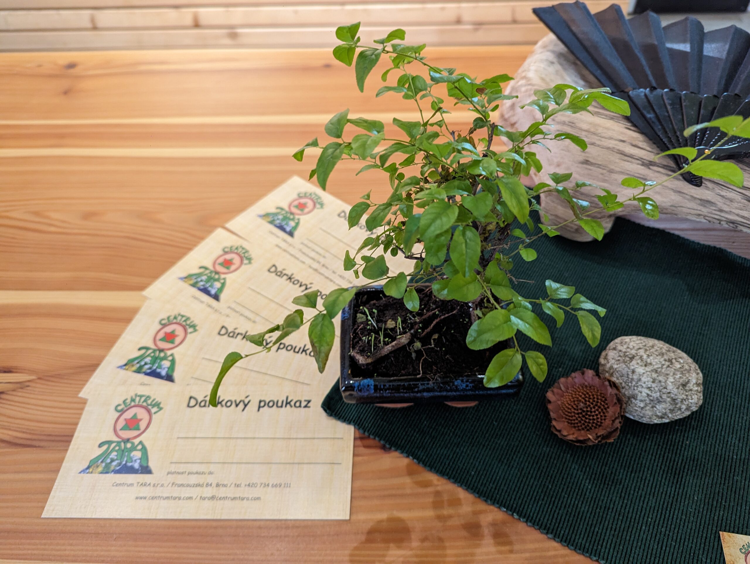 dárkový poukaz_recepce